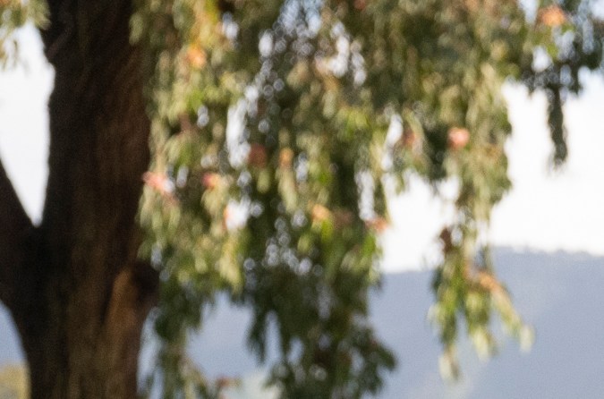 Toyota bZ Woodland 2026 tiene gran espacio para equipaje.