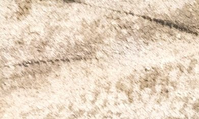 Ford Bronco RTR 2027 en acción off-road en desierto Baja, con mejoras secretas para Baja 1000 y suspensión elevada.