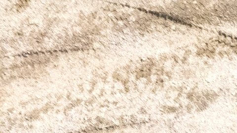 Ford Bronco RTR 2027 en acción off-road en desierto Baja, con mejoras secretas para Baja 1000 y suspensión elevada.