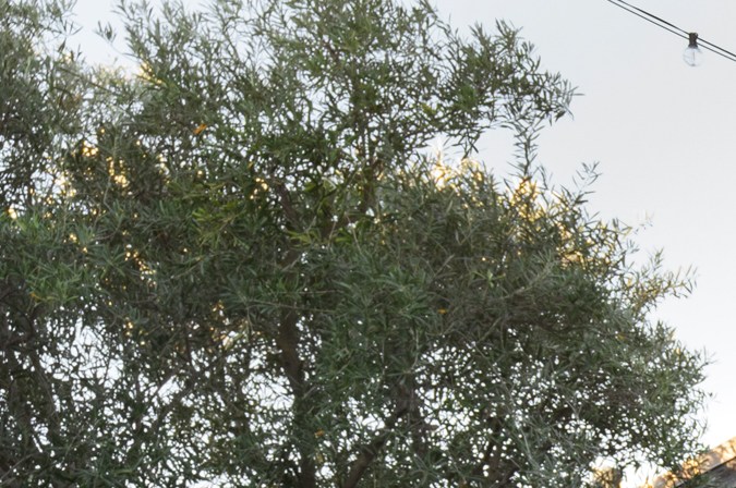 Toyota Highlander 2027 estará disponible a la venta pronto.