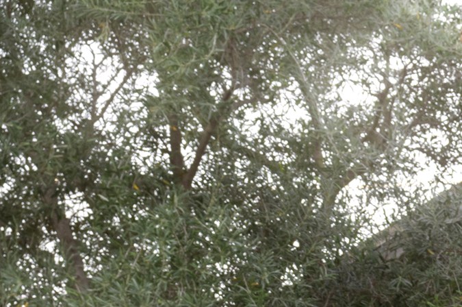 Toyota Highlander 2027 tiene un diseño que da sensación de robustez.