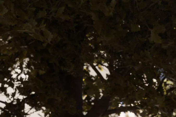 BMW i4 2026 Gran Coupé gris perfil delantero en paisaje soleado, parrilla icónica y líneas deportivas