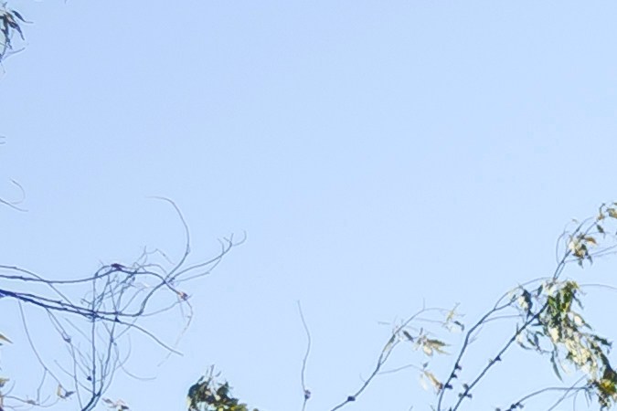 Nissan Leaf 2026 rojo intenso aparcado en entrada de casa lujosa con fachada de vidrio y madera, vista lateral