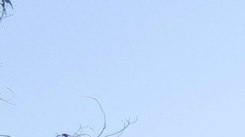 Nissan Leaf 2026 rojo intenso aparcado en entrada de casa lujosa con fachada de vidrio y madera, vista lateral