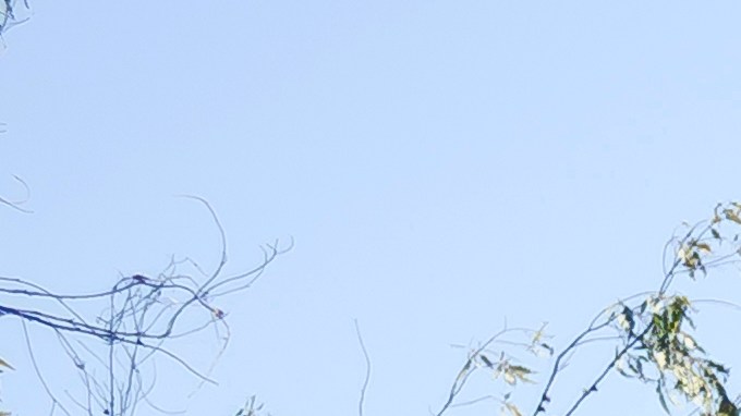 Nissan Leaf 2026 rojo intenso aparcado en entrada de casa lujosa con fachada de vidrio y madera, vista lateral