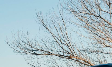 RUF 928R podría costar más de $500,000 dólares en subasta.