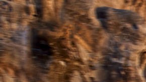 Audi presenta sus nuevos modelos A6 e-tron y Q6 e-tron 2027.