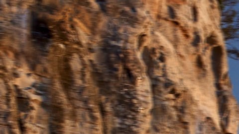 Audi presenta sus nuevos modelos A6 e-tron y Q6 e-tron 2027.