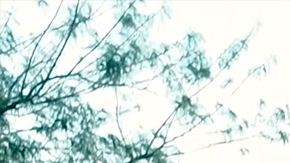 Audi A6 2026 tiene un buen desplazamiento.