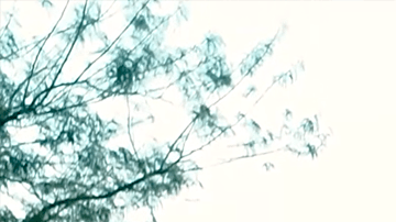 Audi A6 2026 tiene un buen desplazamiento.