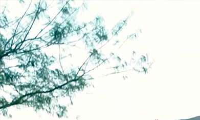 Audi A6 2026 tiene un buen desplazamiento.