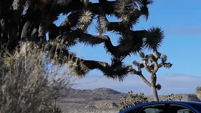 Audi A6 2026 tiene un gran motor.