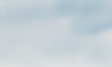 Vehículos con título de salvamento son cada vez más vendidos.