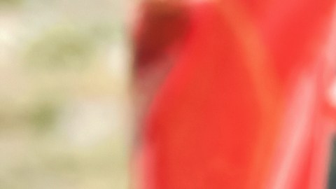 Un taxi de Uber se estrelló. Partes de la carrocería delanteras dañadas, faro roto, guardabarros y parachoques del taxi Uber. Accidente de tráfico con un taxi accidentado, conducción insegura, infracción de tráfico.