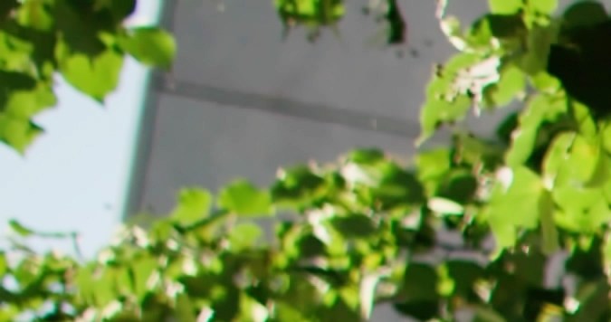 Los vehículos siniestrados en ocasiones son reparados e incorporados a la venta.