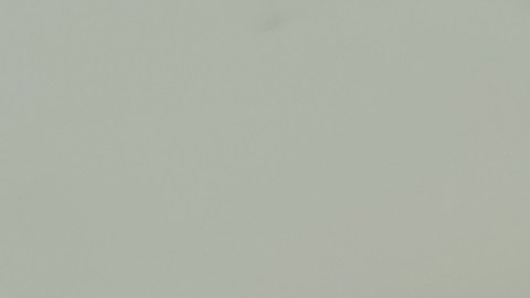 Los autos eléctricos chinos se venden a buen precio.