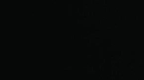 Los autos premium tienen muchas fallas en software.