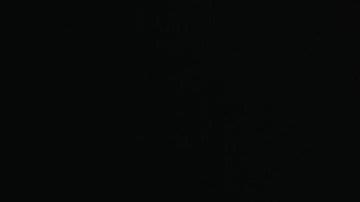 Los autos premium tienen muchas fallas en software.