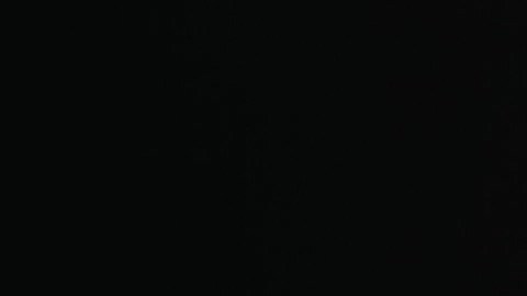 Los autos premium tienen muchas fallas en software.