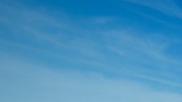 Línea de vehículos Ford eléctricos azules en paisaje desértico, gama SUVs y camionetas