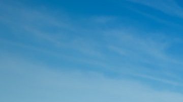 Línea de vehículos Ford eléctricos azules en paisaje desértico, gama SUVs y camionetas