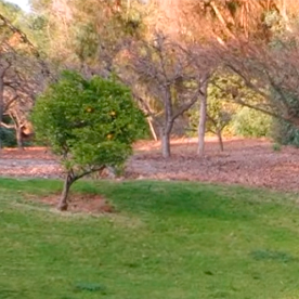 Toyota bZ Woodland 2026 es compacta, pero robusta.