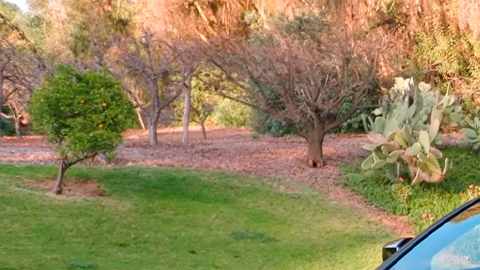 Toyota bZ Woodland 2026 es compacta, pero robusta.