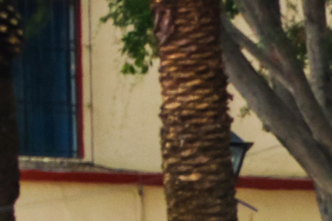 Ford F-150 2017 logró grandes ventas.