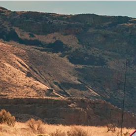 Ford F-150 es la camioneta pick-up más vendida.