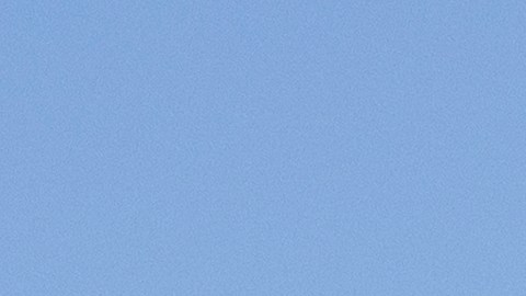 Ford domina varios segmentos de autos.