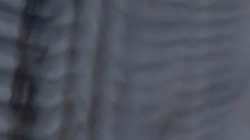 McLaren es una de las marcas de autos que corre en la IndyCar.