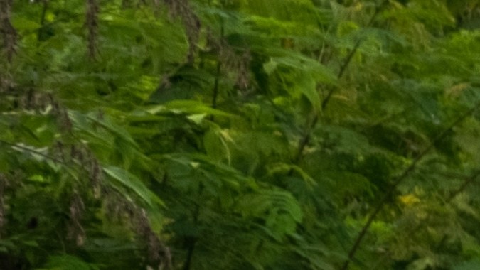 Jaguar I-Pace es un SUV premium eléctrico.