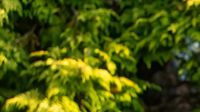 Jaguar I-Pace es el único auto eléctrico de la marca.