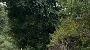 Jeep Grand Cherokee 2026 tiene un diseño más refinado.