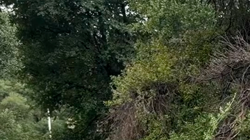 Jeep Grand Cherokee 2026 tiene un diseño más refinado.