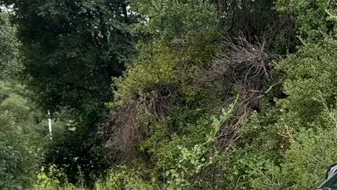 Jeep Grand Cherokee 2026 tiene un diseño más refinado.