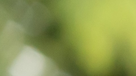 Arrendamiento, alquiler de coches, venta, compra. El concesionario da la mano al Cliente para el coche nuevo. Ventas, crédito de préstamo financiero, alquiler de vehículos, seguros, alquiler, vendedor, concesionario, cuota, negocio de cuidado de automóviles