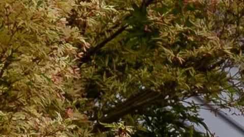 Mazda MX-5 Miata es uno de los deportivos compactos más vendidos.