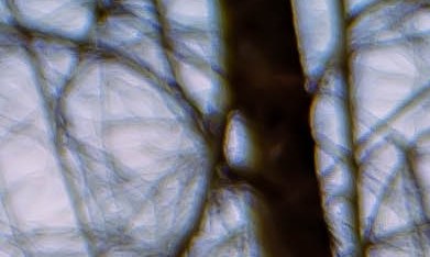 Toyota Prius es uno de los autos más vendidos de Toyota.