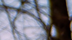 Toyota Prius es uno de los autos más vendidos de Toyota.