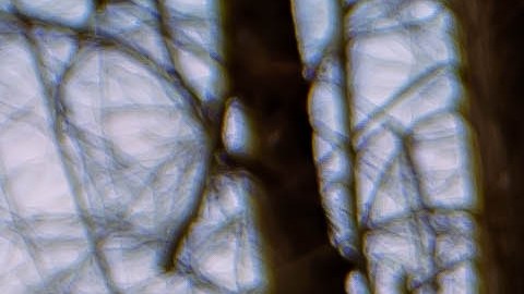 Toyota Prius es uno de los autos más vendidos de Toyota.