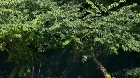 Chevrolet Trax 2026 es uno de los autos más económicos.