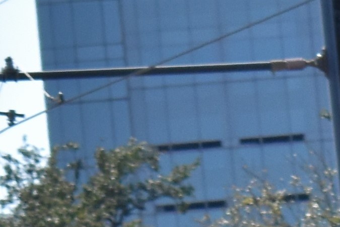 Chevrolet Silverado 1500 es una de las grandes pick-ups del mercado.