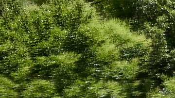 Subaru Forester es uno de los mejores SUV del mercado.