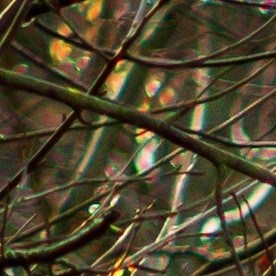 Subaru Outback blanco con unidades de caja de esquí en un camino embarrado en el bosque. Grande SUV con tracción total en una carretera rota.