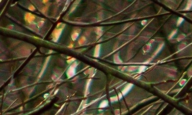 Subaru Outback blanco con unidades de caja de esquí en un camino embarrado en el bosque. Grande SUV con tracción total en una carretera rota.