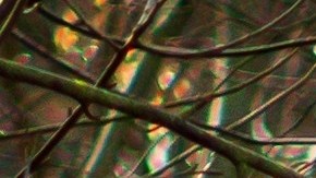 Subaru Outback blanco con unidades de caja de esquí en un camino embarrado en el bosque. Grande SUV con tracción total en una carretera rota.