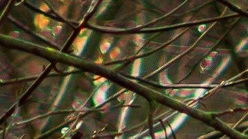 Subaru Outback blanco con unidades de caja de esquí en un camino embarrado en el bosque. Grande SUV con tracción total en una carretera rota.