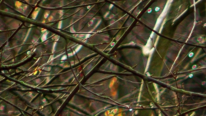 Subaru Outback blanco con unidades de caja de esquí en un camino embarrado en el bosque. Grande SUV con tracción total en una carretera rota.