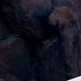 Tesla Cybertruck reduce su precio a $62,000 dólares.